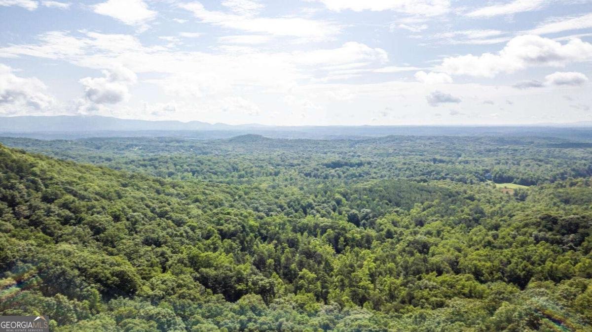 8 Mount Sequoyah Road Jasper - 70