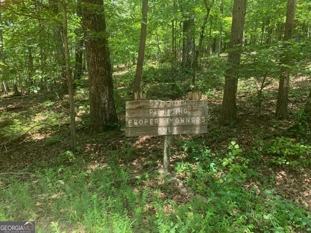 8 Mount Sequoyah Road Jasper - 79