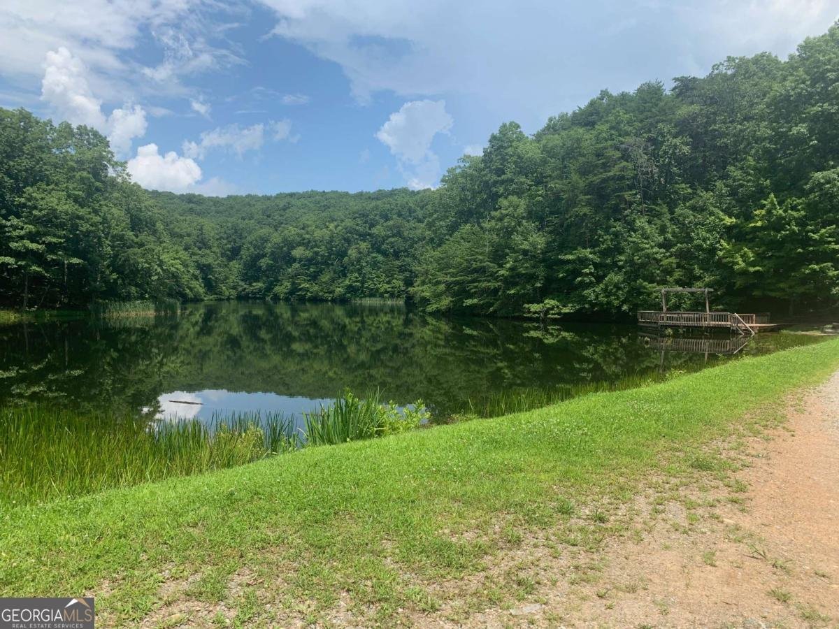 8 Mount Sequoyah Road Jasper - 81