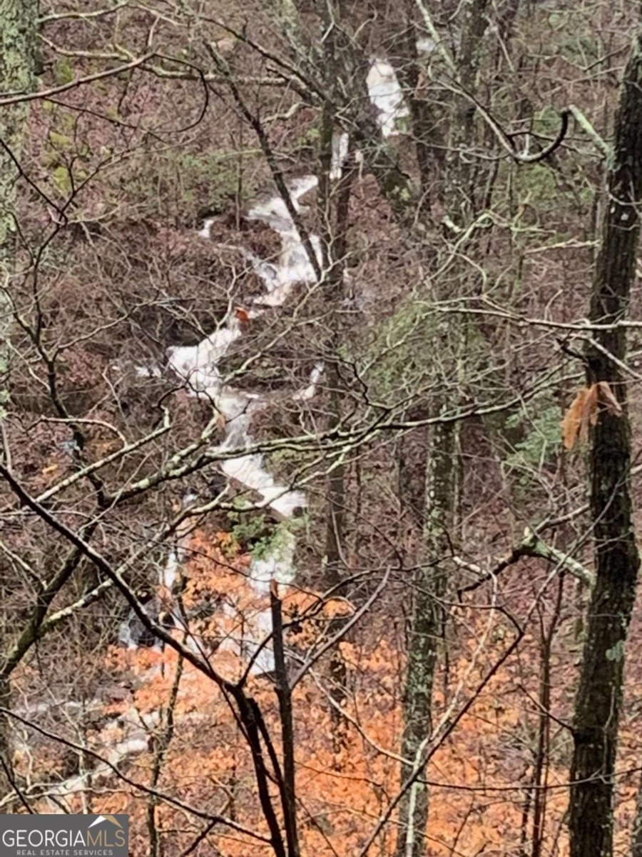 8 Mount Sequoyah Road Jasper - 83