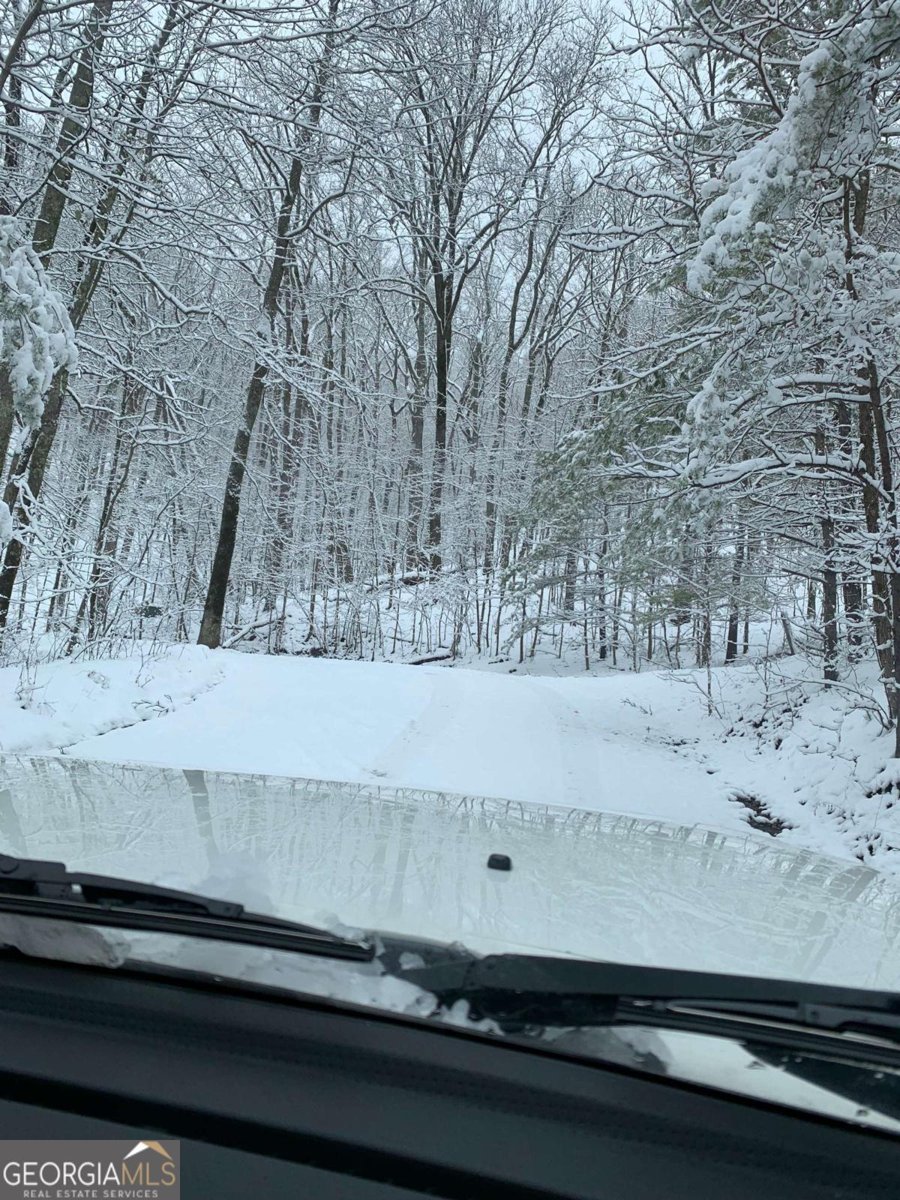 8 Mount Sequoyah Road Jasper - 84