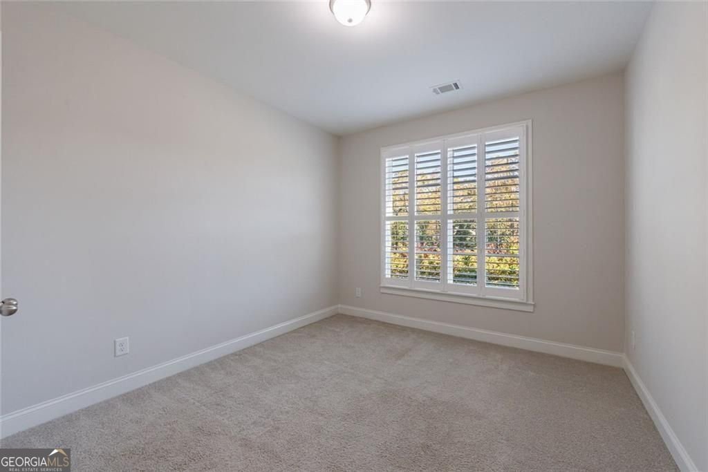 6405 Placid Way Dawsonville - 51