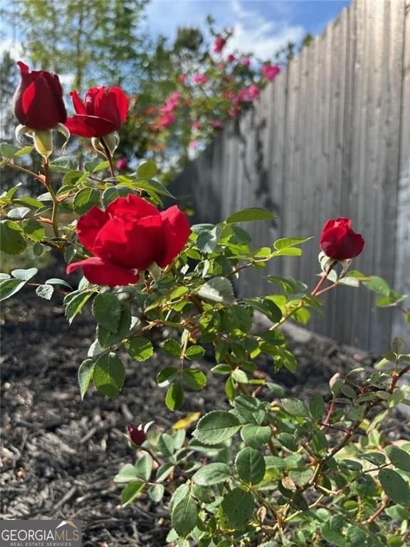 6405 Placid Way Dawsonville - 57