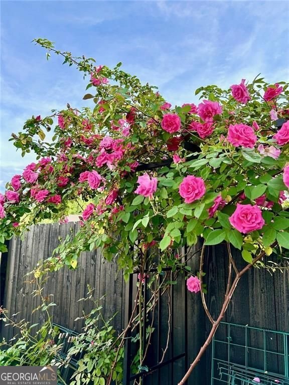 6405 Placid Way Dawsonville - 58