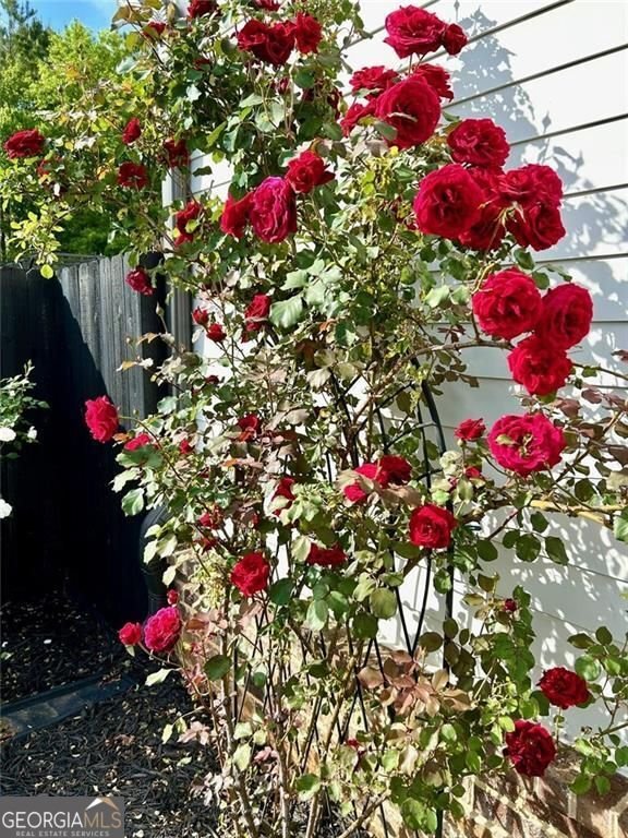 6405 Placid Way Dawsonville - 59