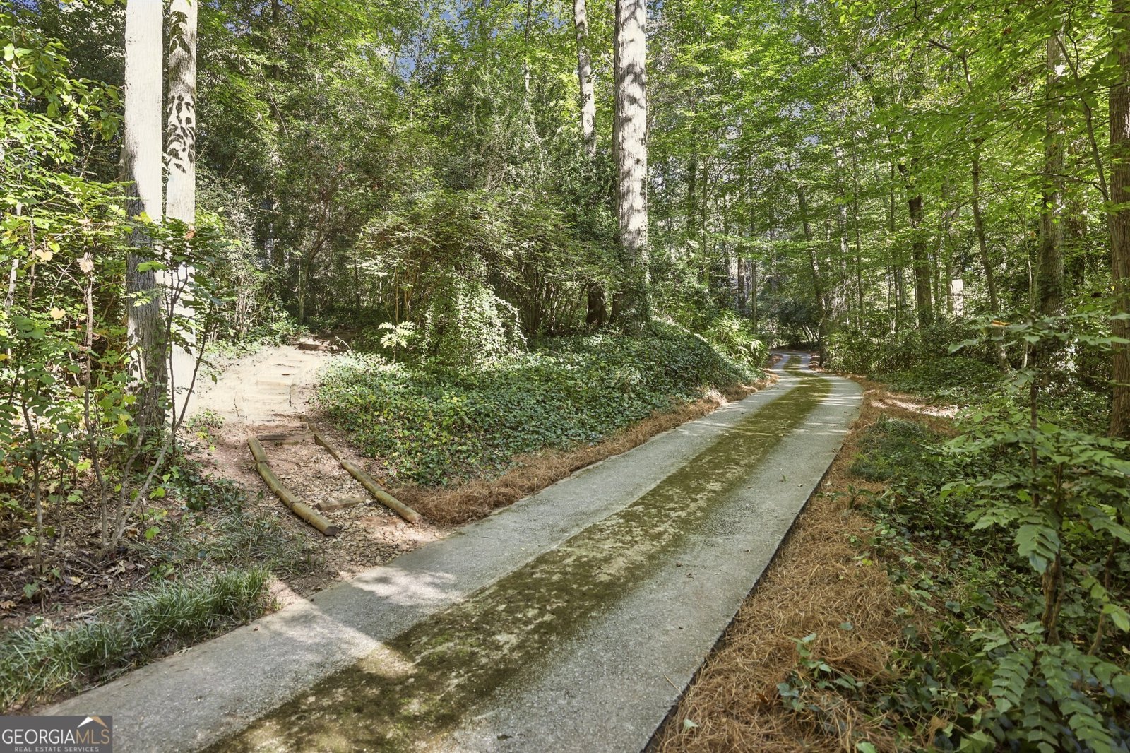 1708 Mason Mill Road Atlanta - 13