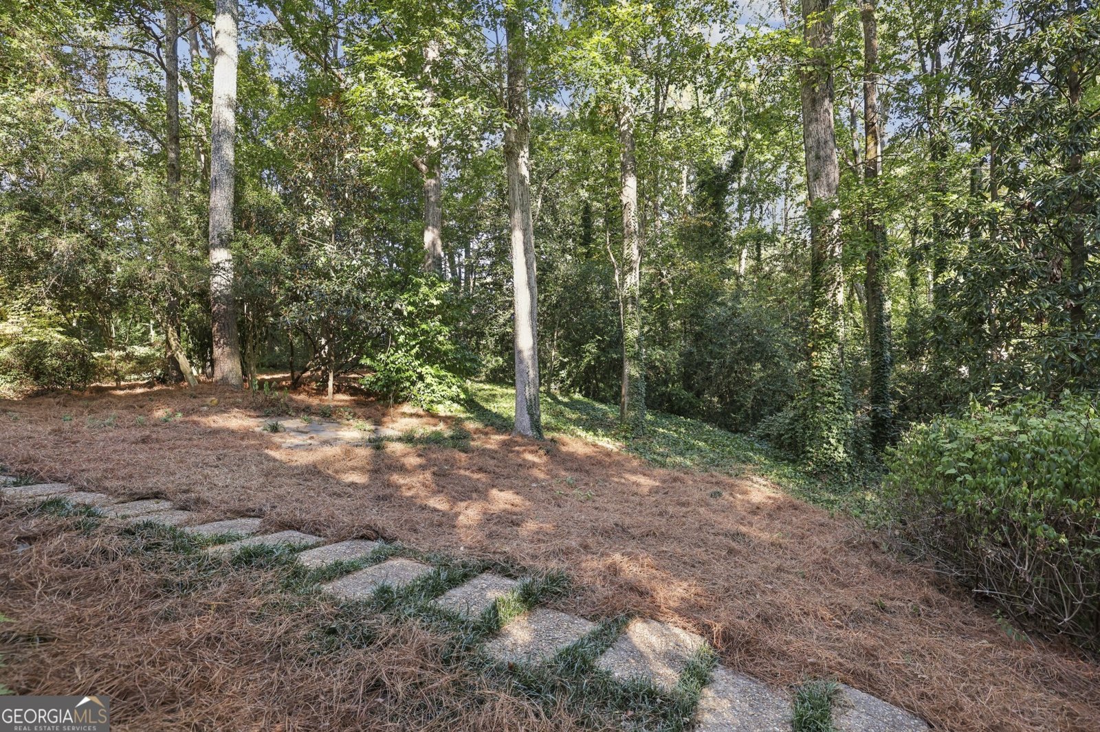 1708 Mason Mill Road Atlanta - 46