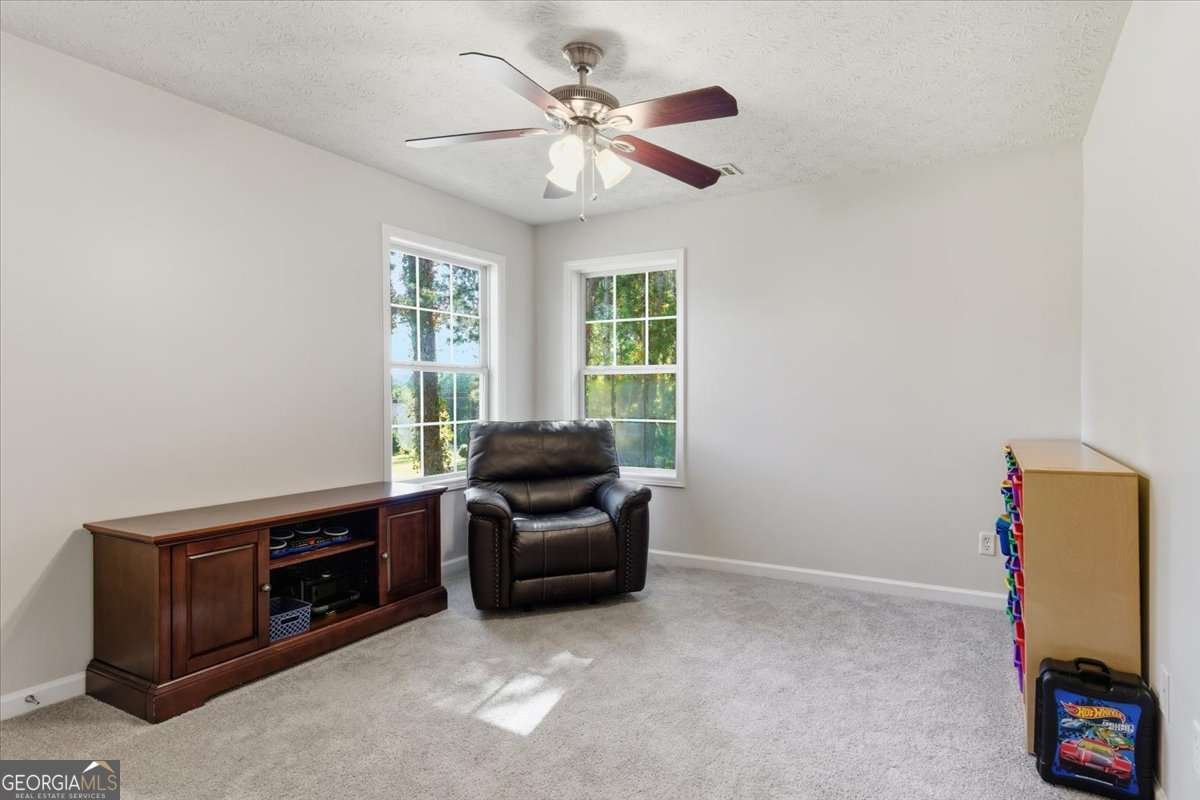 184 Morgan Lane Rockmart - 22
