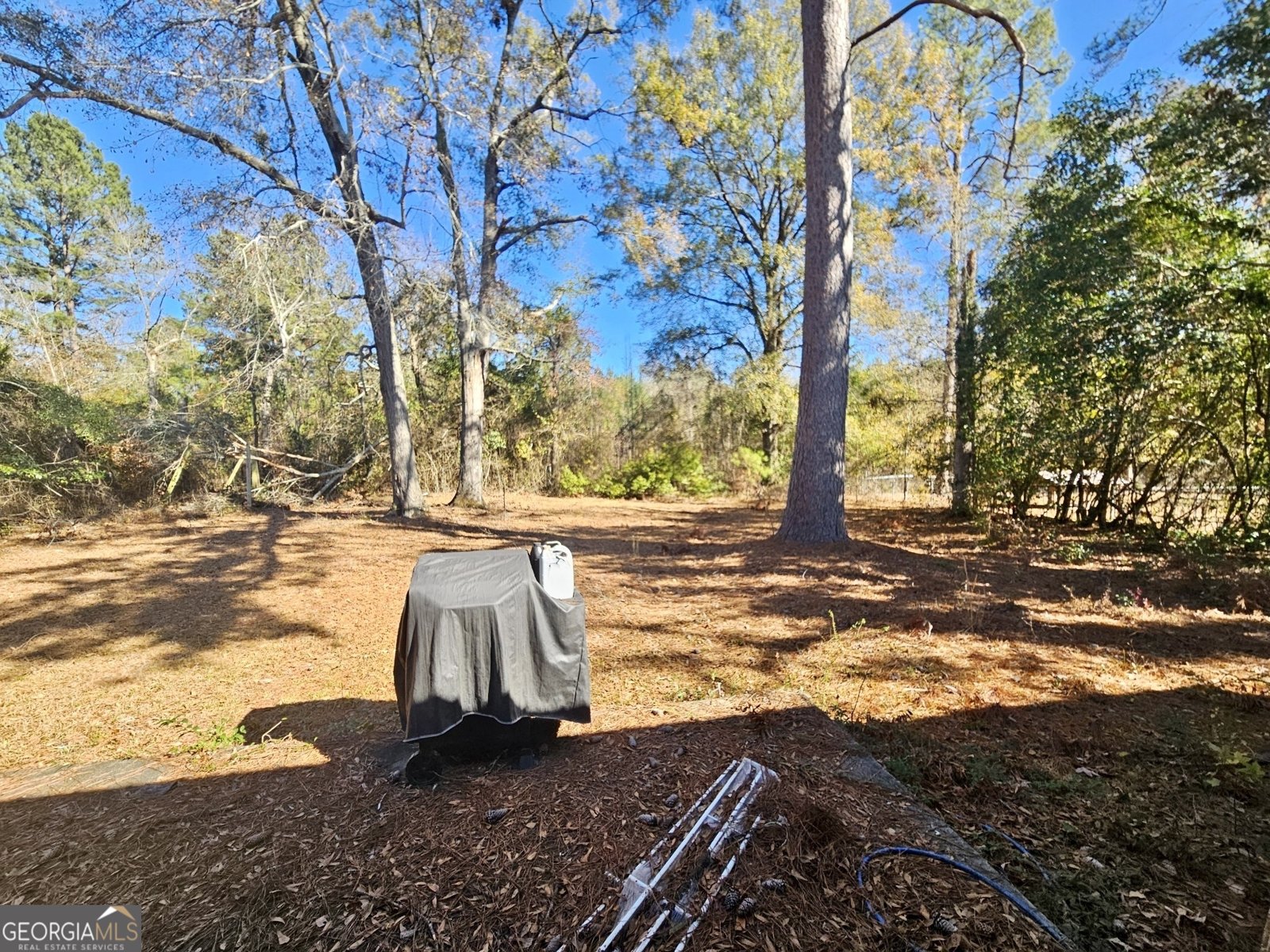 1437 Peach Street Dublin - 6