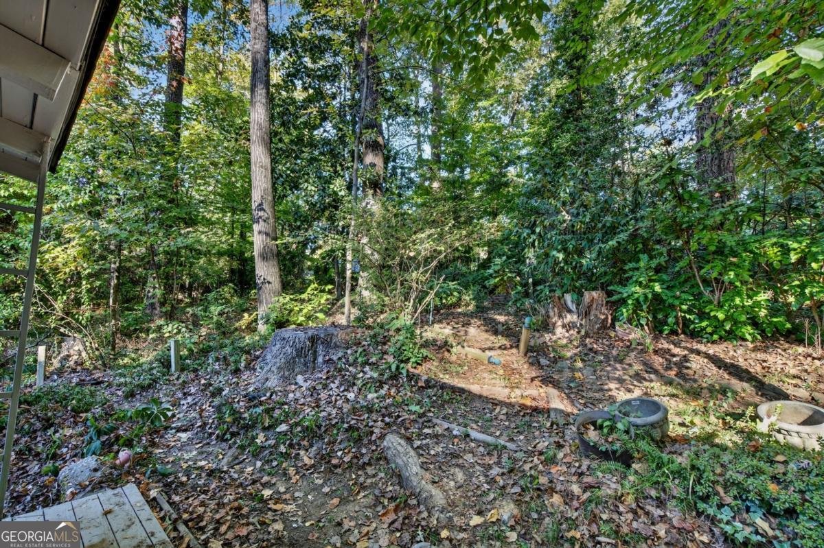 3813 Watkins Place Brookhaven - 47
