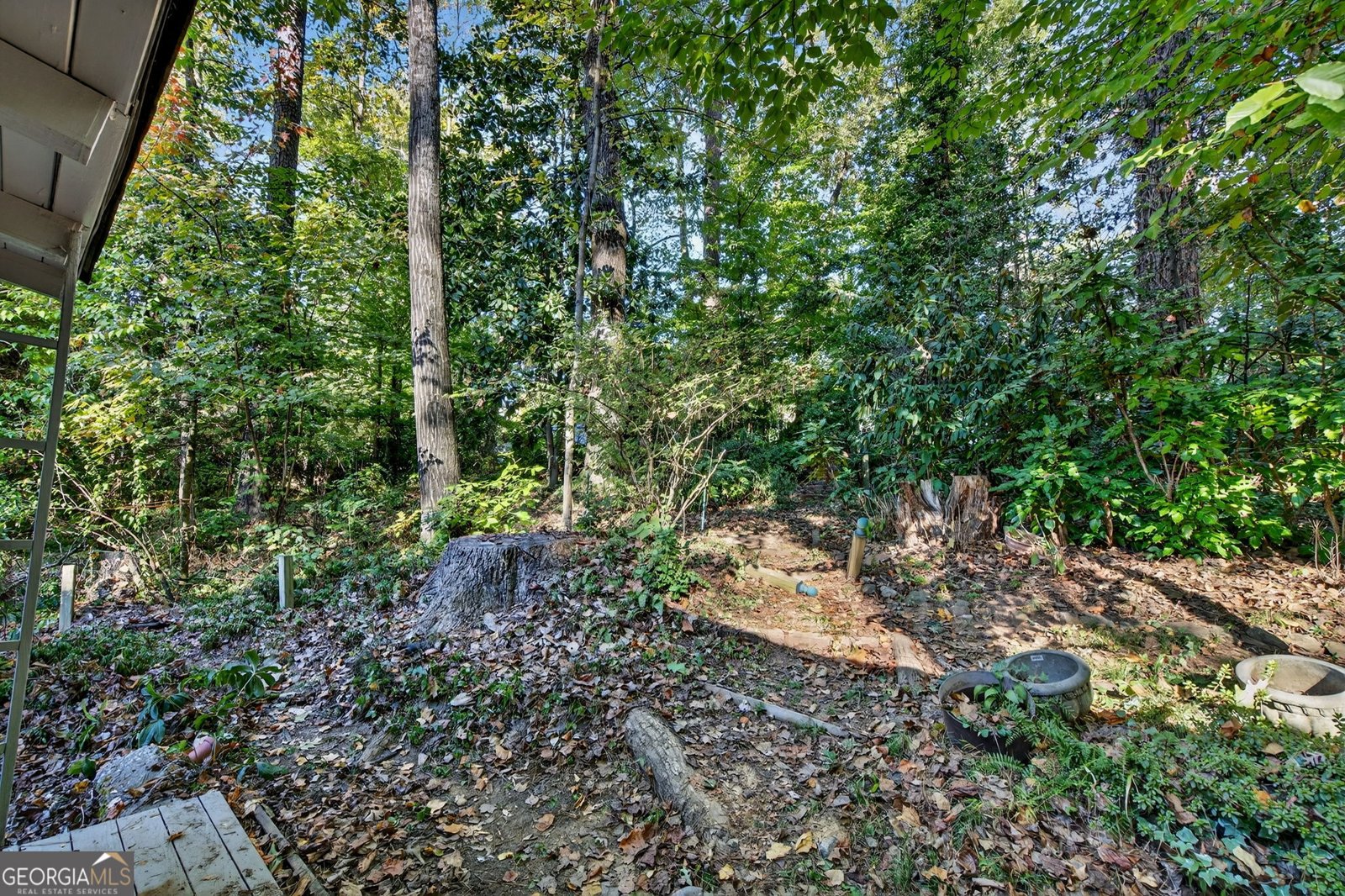 3813 Watkins Place Brookhaven - 53