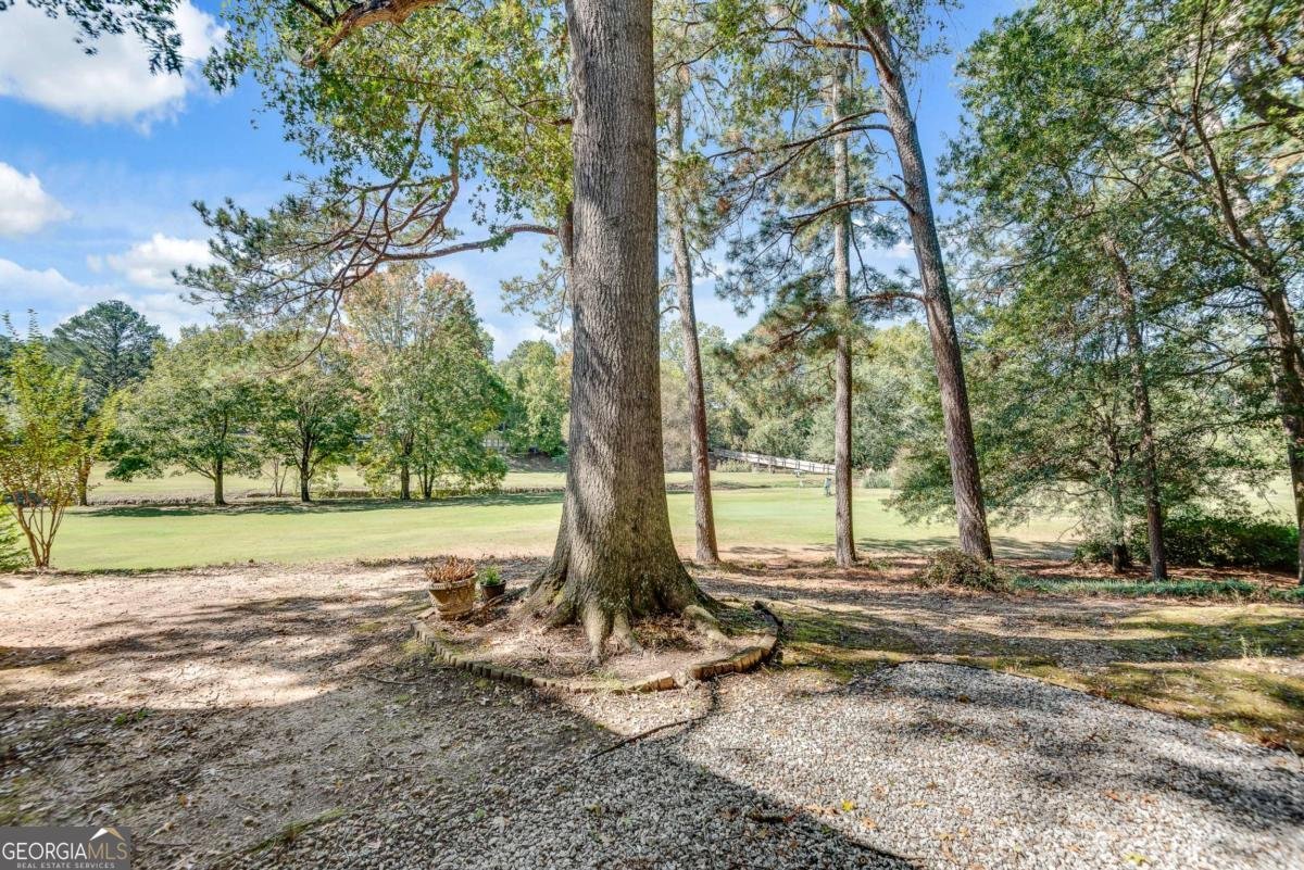 138 Elysian Way Atlanta - 9