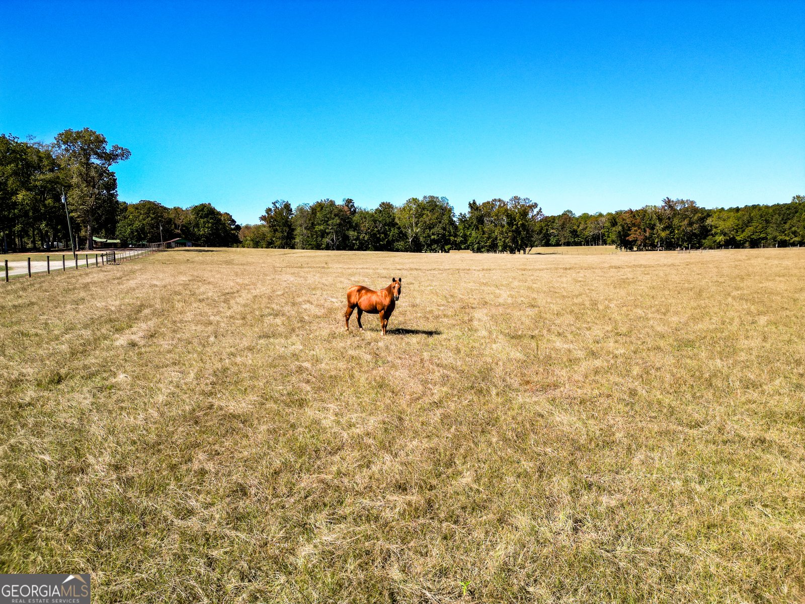 186 Beech Springs Road Pine Mountain - 38