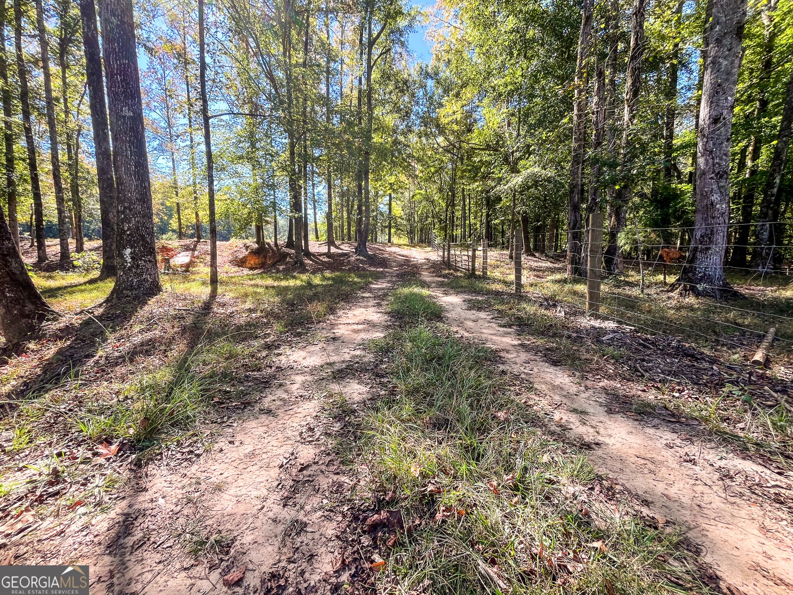 186 Beech Springs Road Pine Mountain - 45