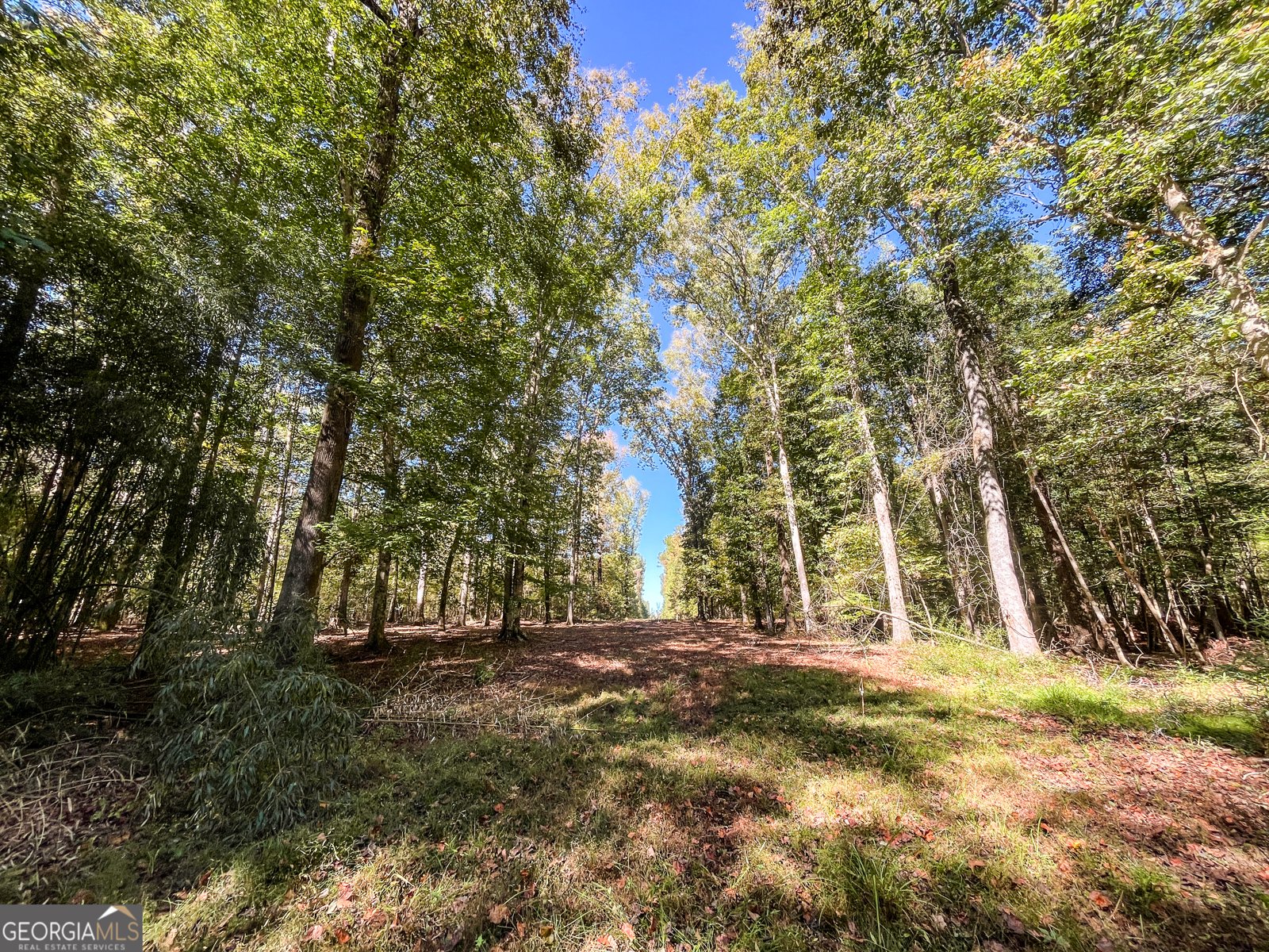 186 Beech Springs Road Pine Mountain - 46