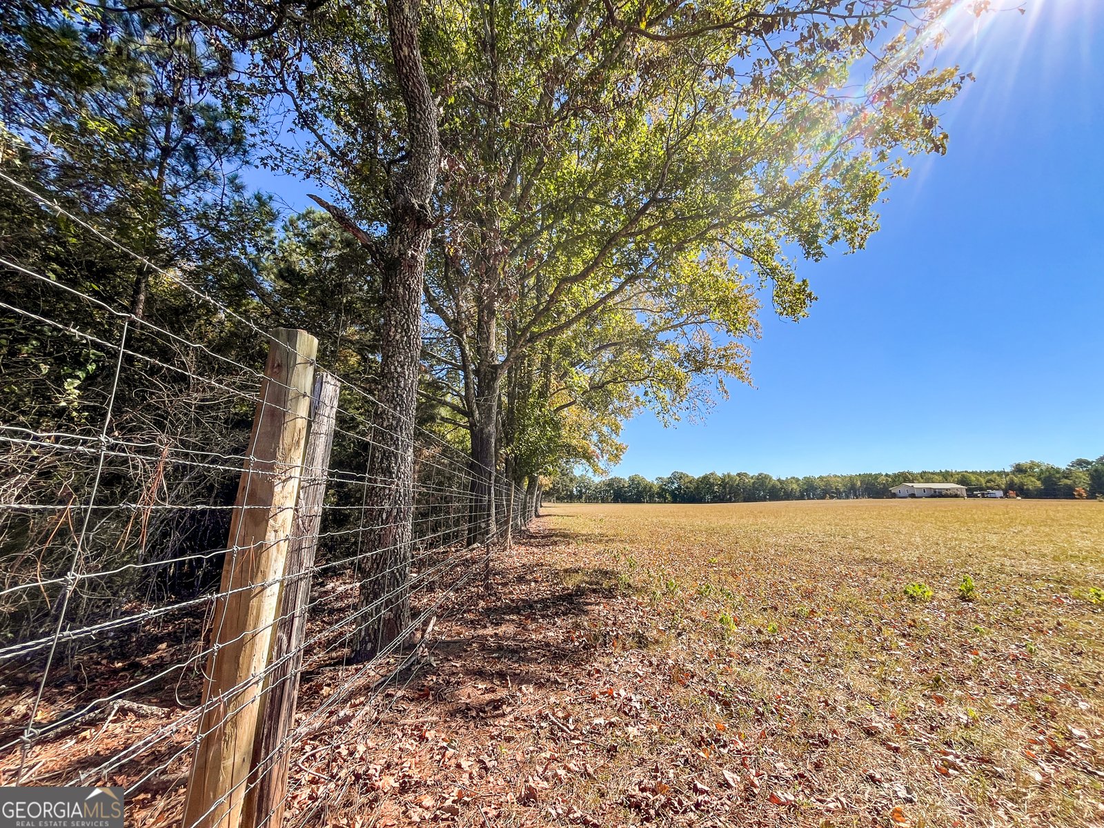 186 Beech Springs Road Pine Mountain - 56