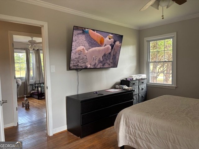 667 Poplar Drive Brooks - 4