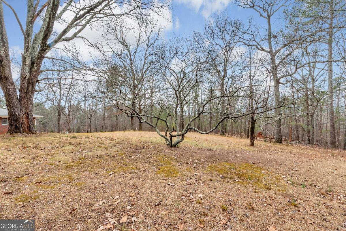 5972 Mcever Road Flowery Branch - 7