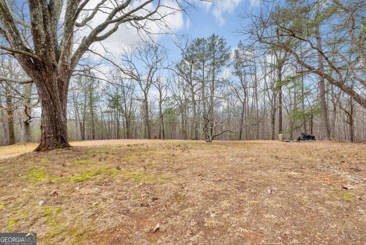 5972 Mcever Road Flowery Branch - 8