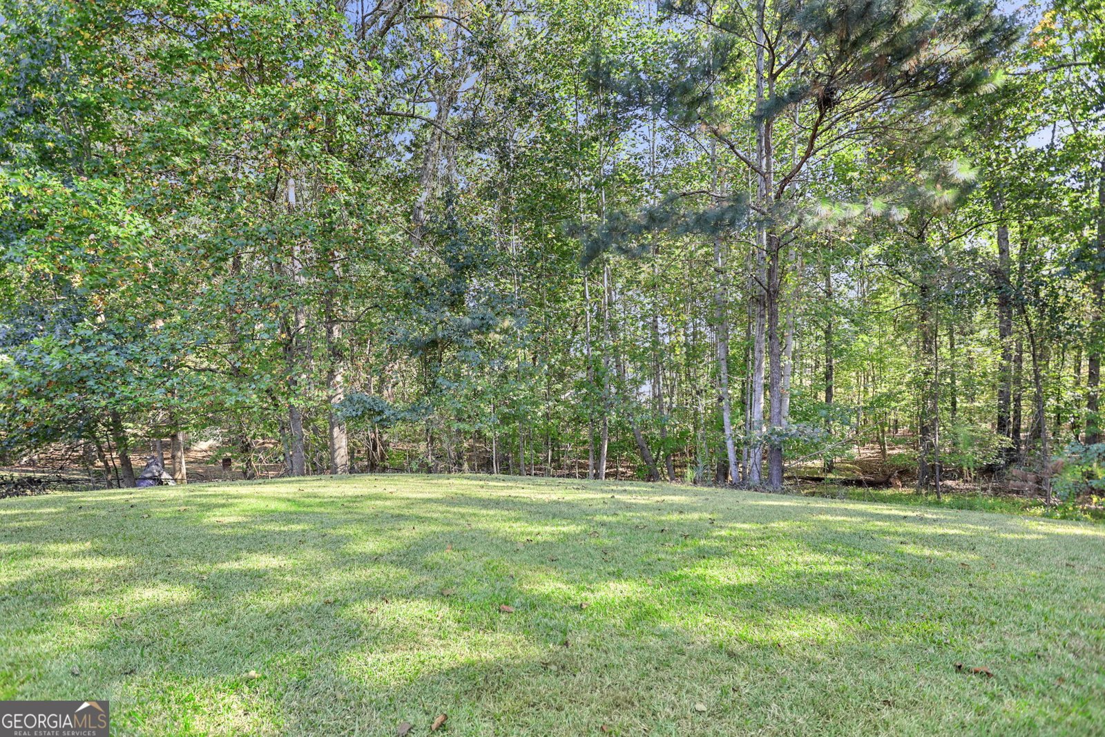 40 Paces Landing Trail Newnan - 5