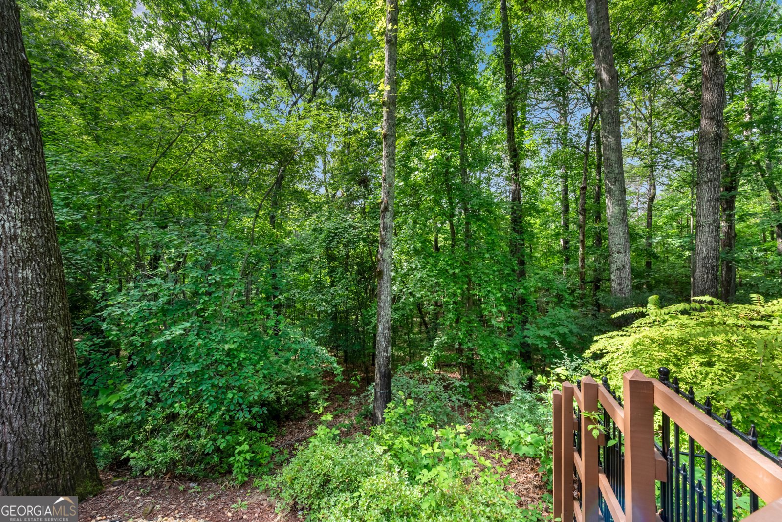 3465 Township Ridge Point Marietta - 74