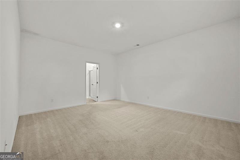 370 GOLDEN EAGLE Braselton - 22