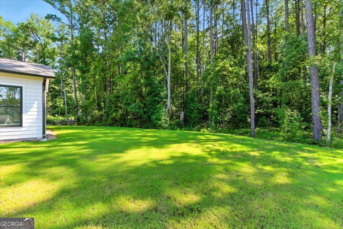 1134 Low Water Crossing Acworth - 64