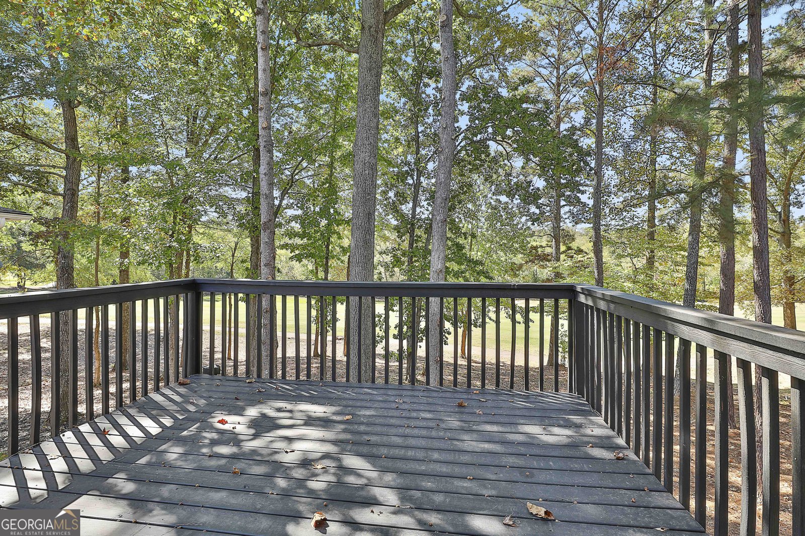 62 Greenview Drive Newnan - 33