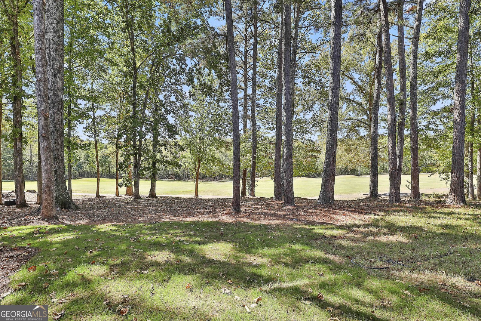62 Greenview Drive Newnan - 40