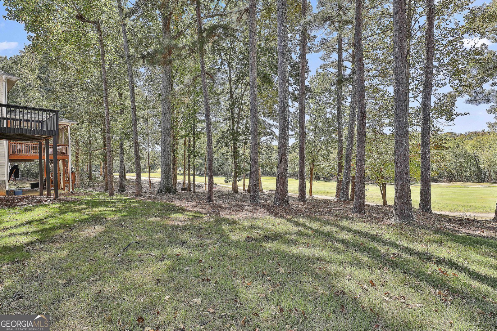 62 Greenview Drive Newnan - 41