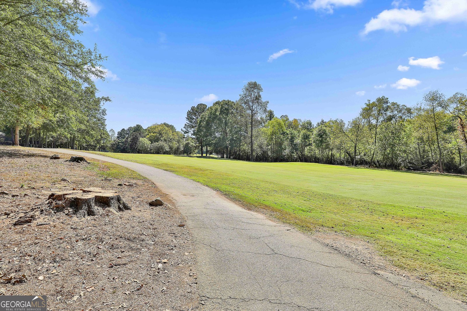 62 Greenview Drive Newnan - 42