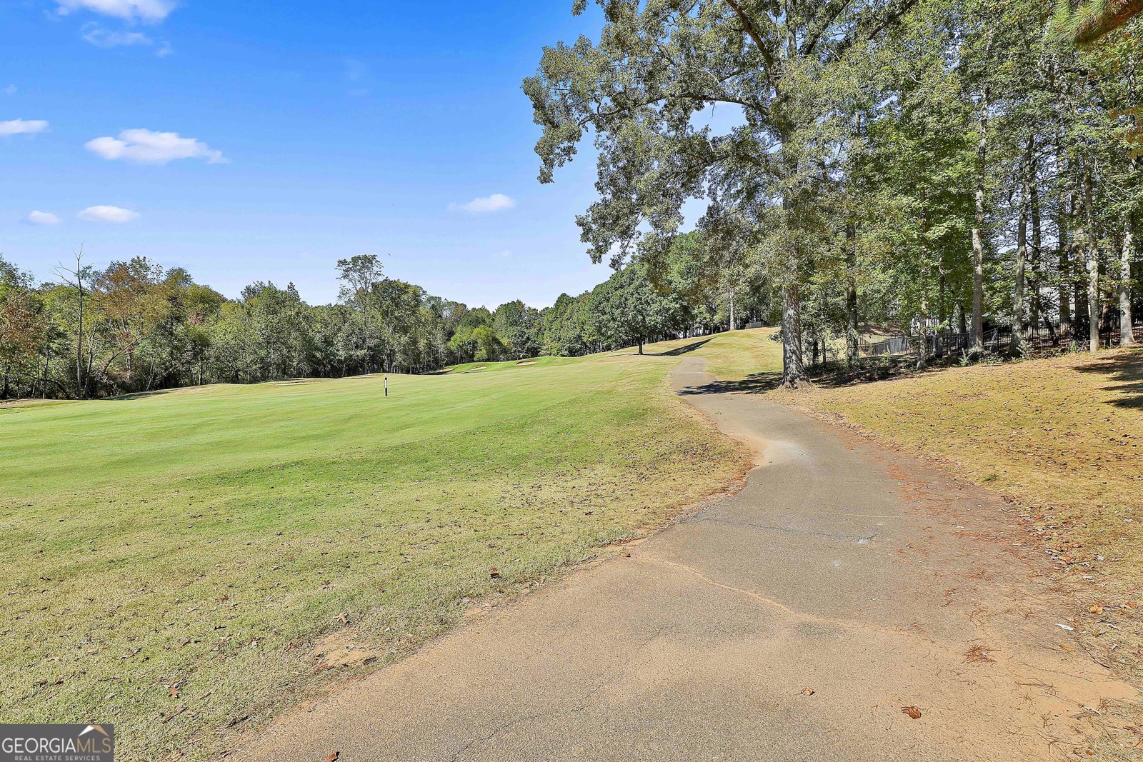 62 Greenview Drive Newnan - 43