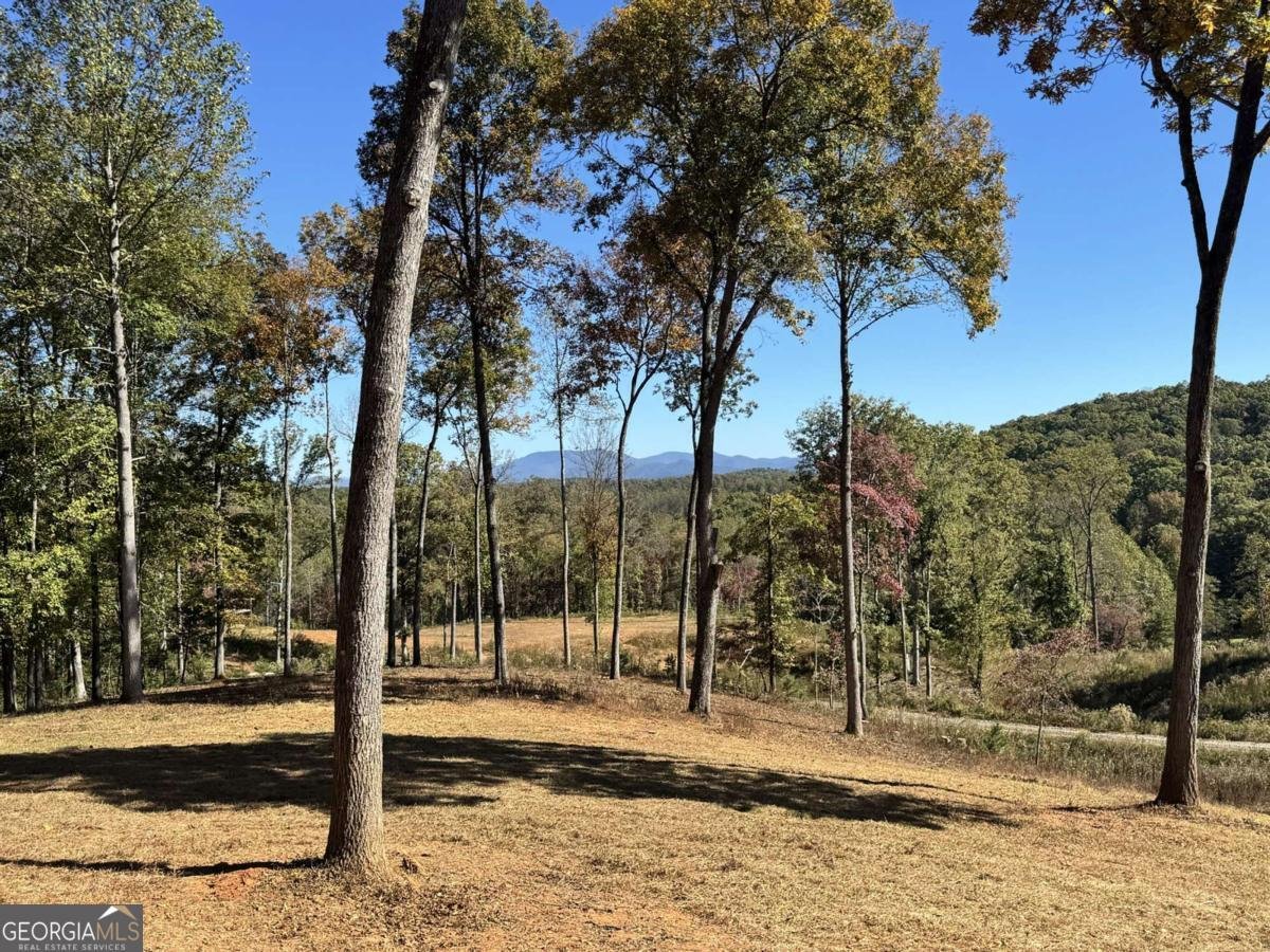 C6 Briarwood Lane Blue Ridge - 15