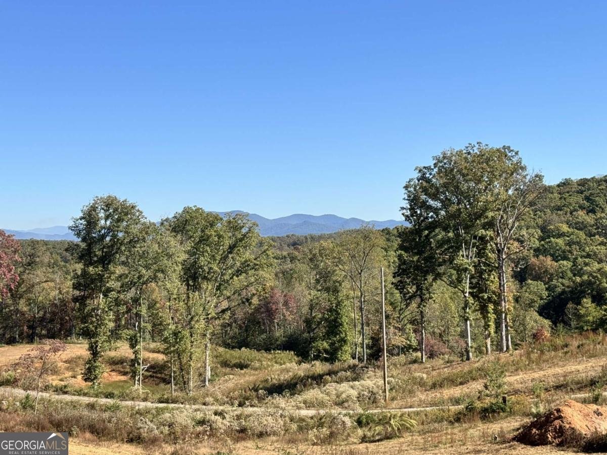 C6 Briarwood Lane Blue Ridge - 16