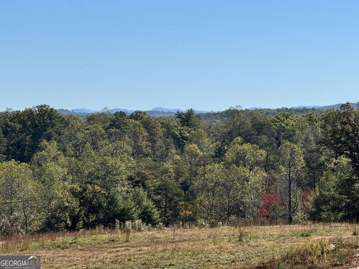 C6 Briarwood Lane Blue Ridge - 17