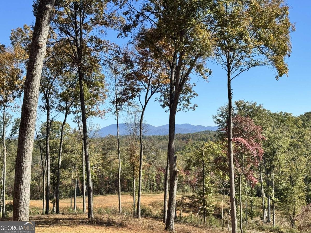 C6 Briarwood Lane Blue Ridge - 2