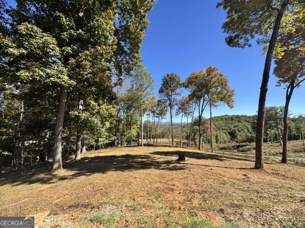 C6 Briarwood Lane Blue Ridge - 8