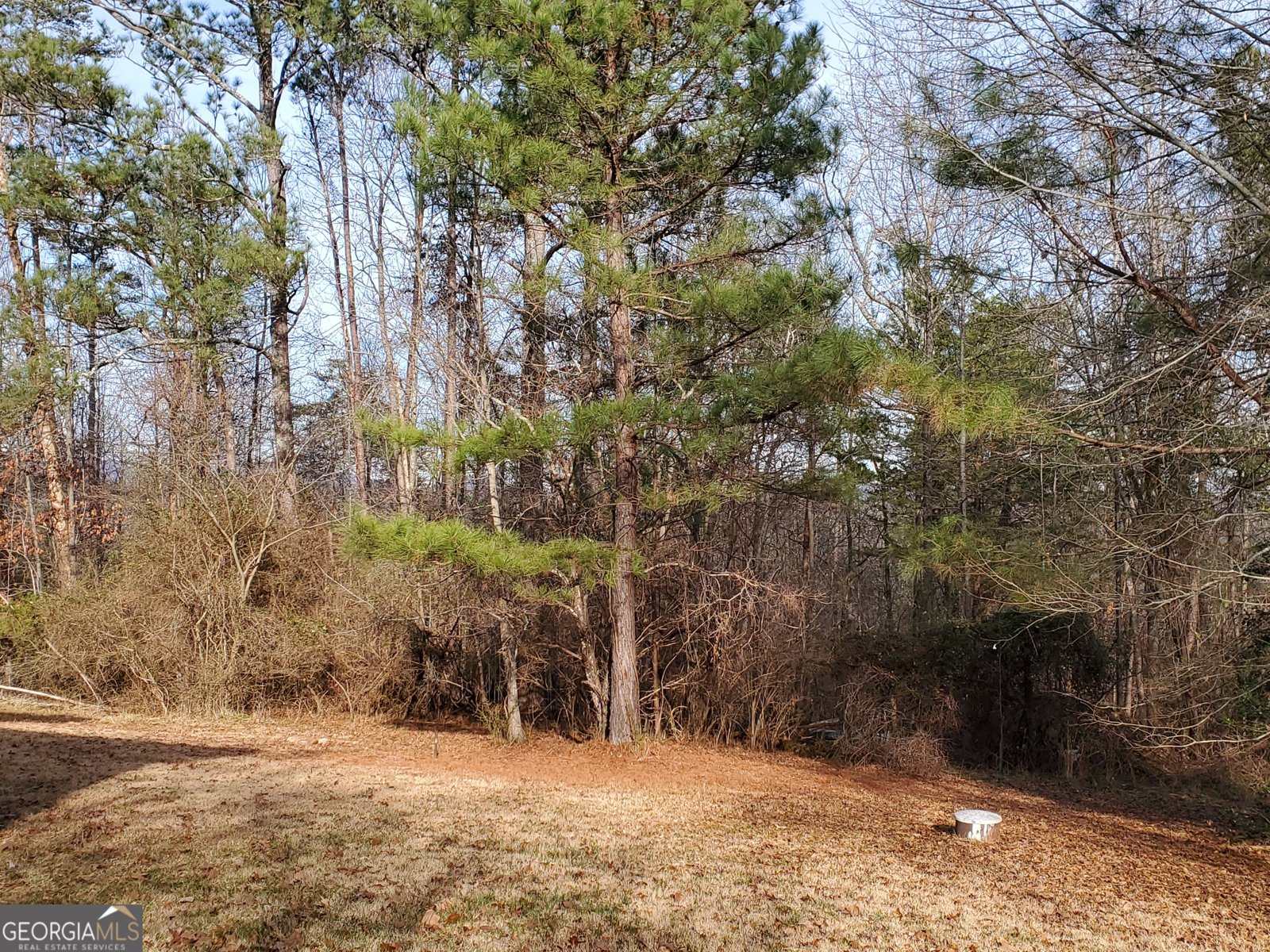 1025 Pickens Street Ball Ground - 12