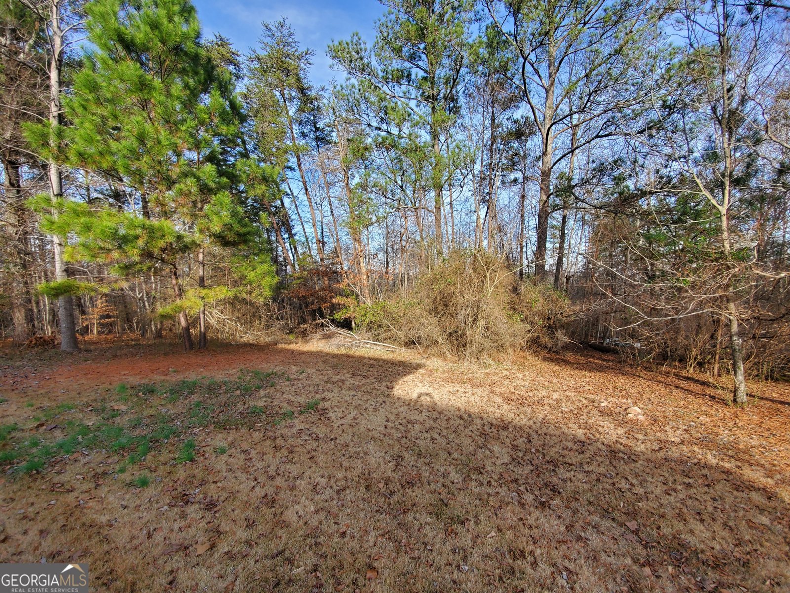 1025 Pickens Street Ball Ground - 14