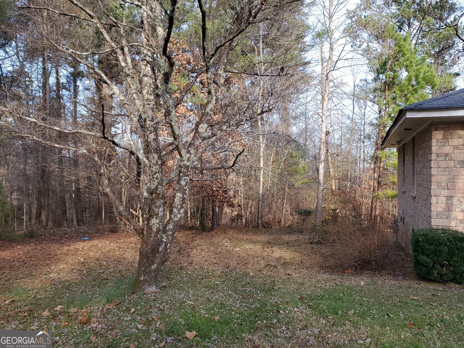 1025 Pickens Street Ball Ground - 15