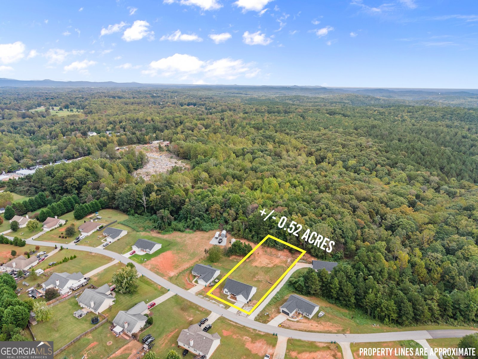 203 Russell Woods Drive Mount Airy - 31