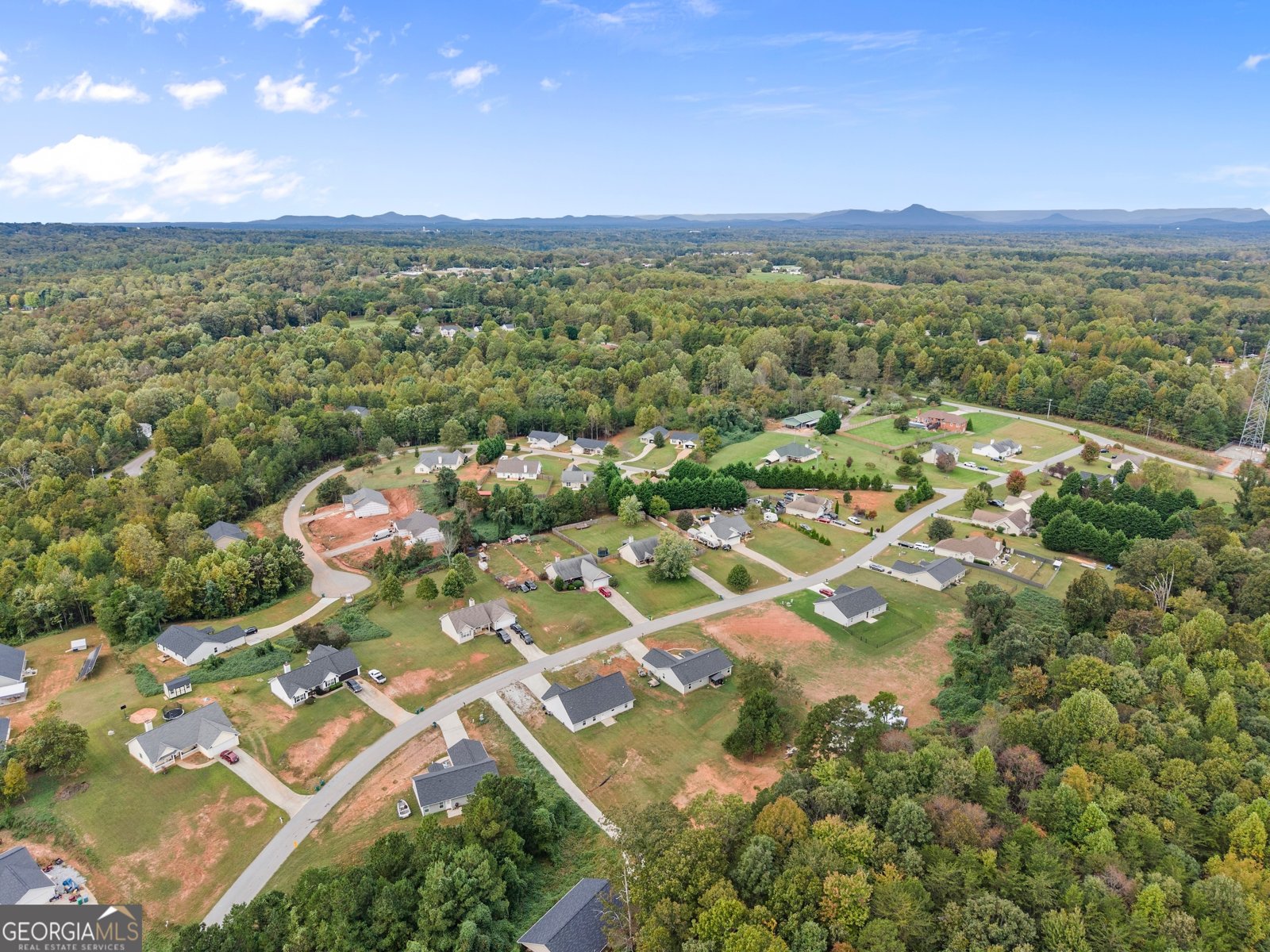 203 Russell Woods Drive Mount Airy - 32