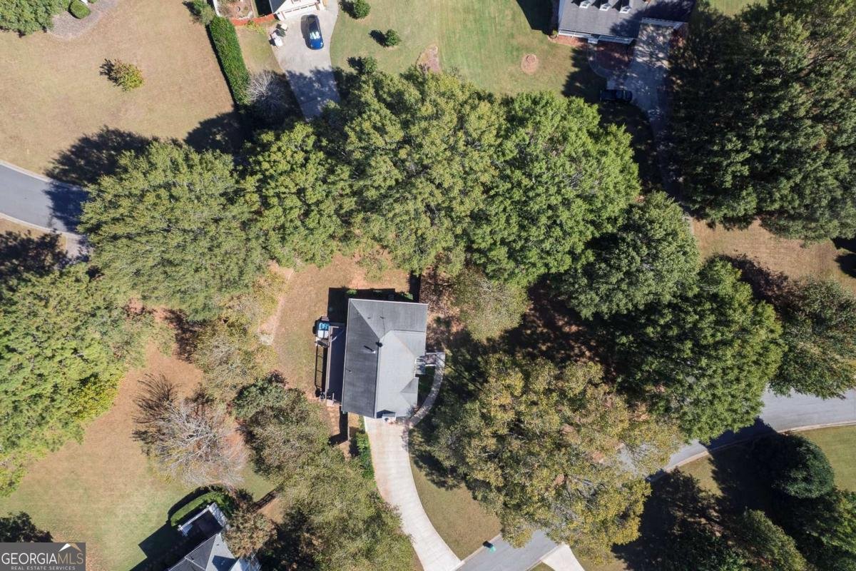 6035 Sarah Orr Lane Cumming - 41