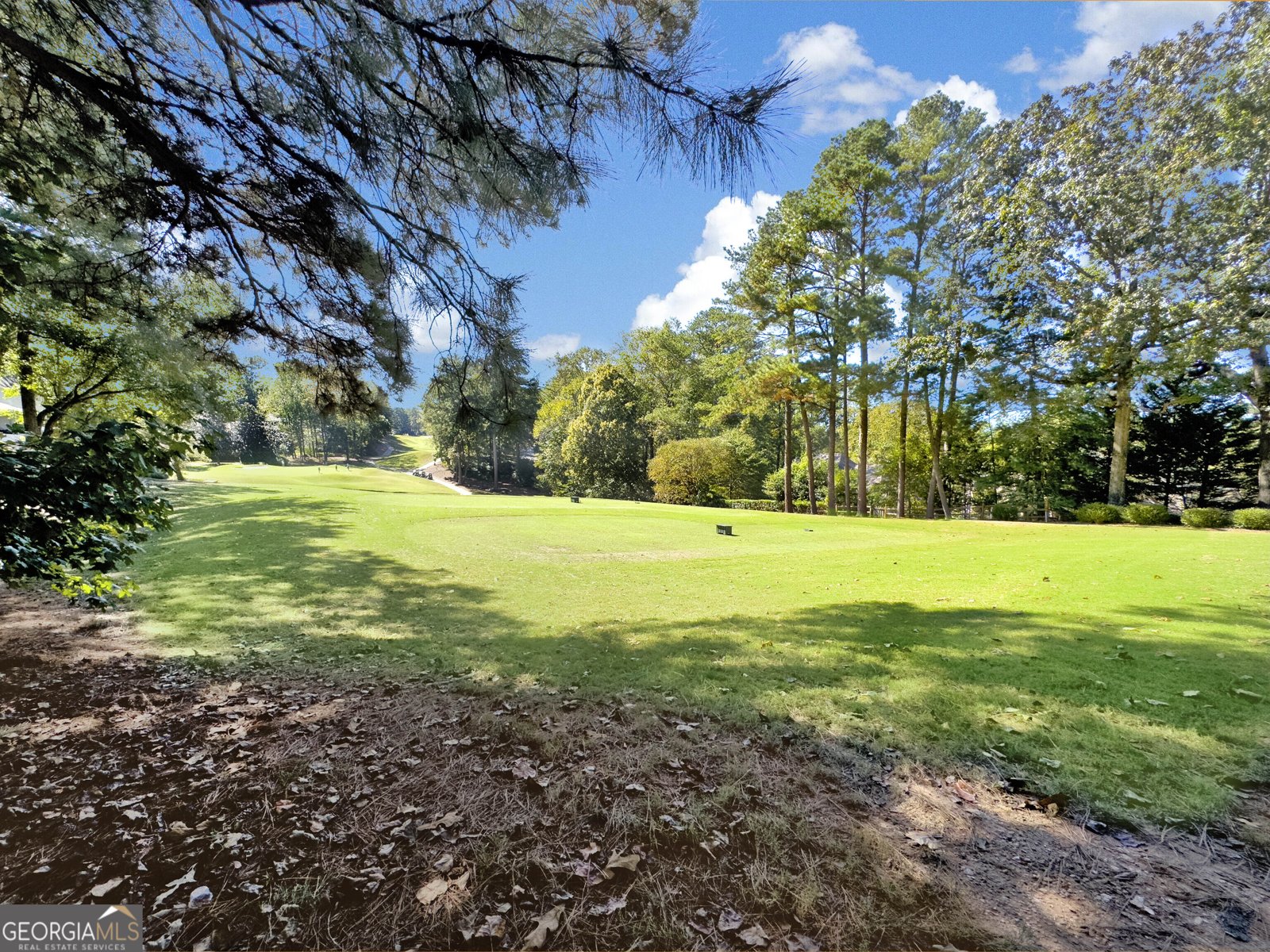 10280 Crescent Ridge Drive Roswell - 52