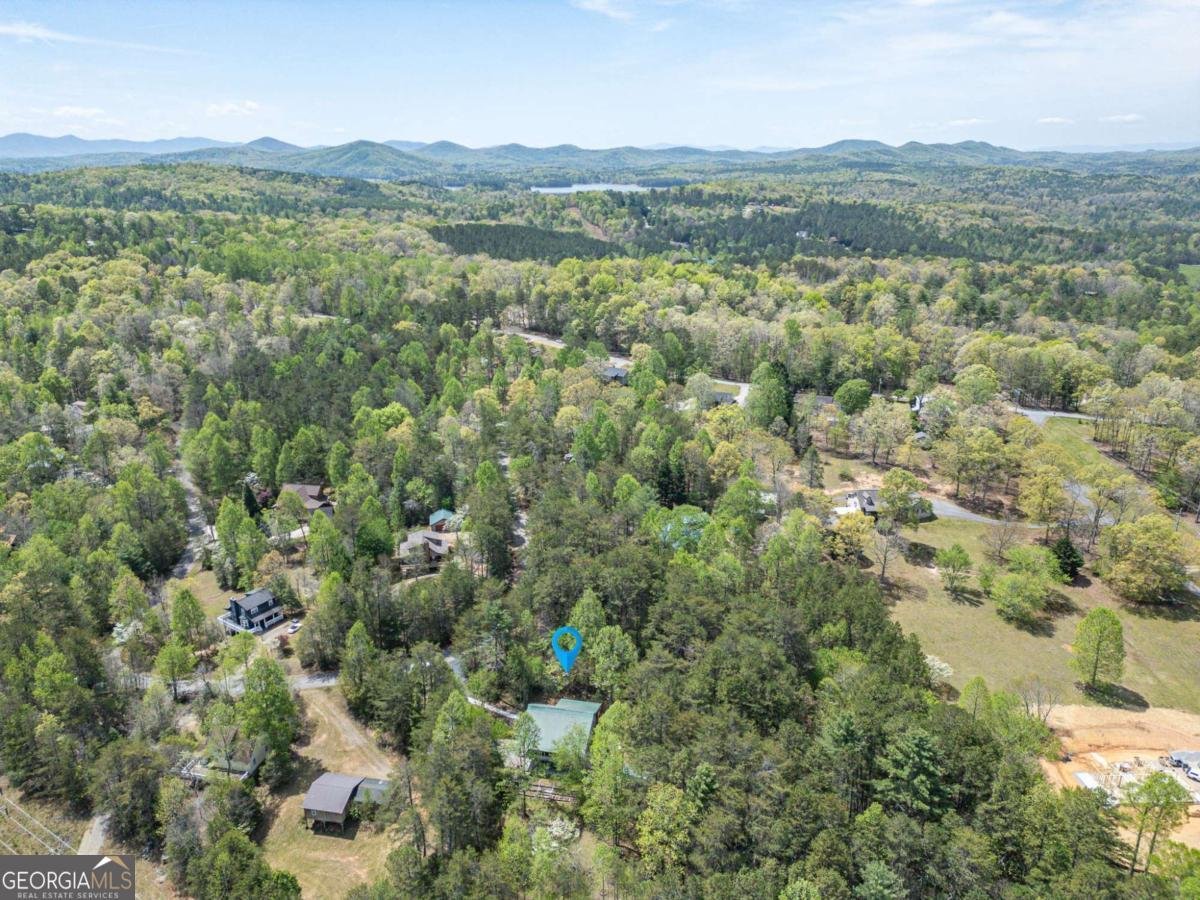 292 Holly Cove Circle Blairsville - 48