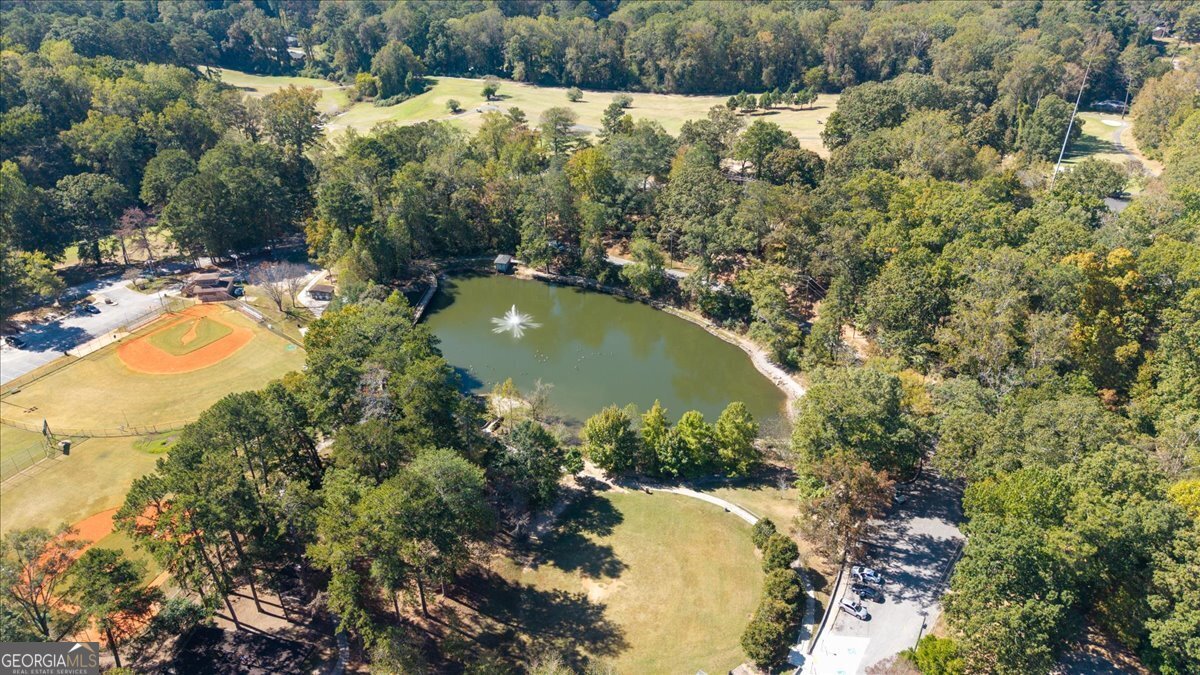 2115 Honeysuckle Lane Atlanta - 41