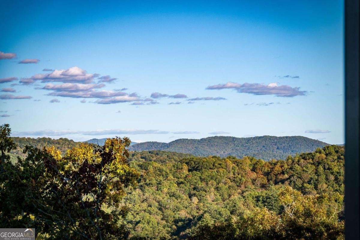 321 Skylight Drive Blue Ridge - 60