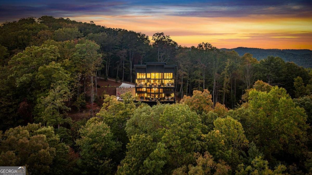 321 Skylight Drive Blue Ridge - 66