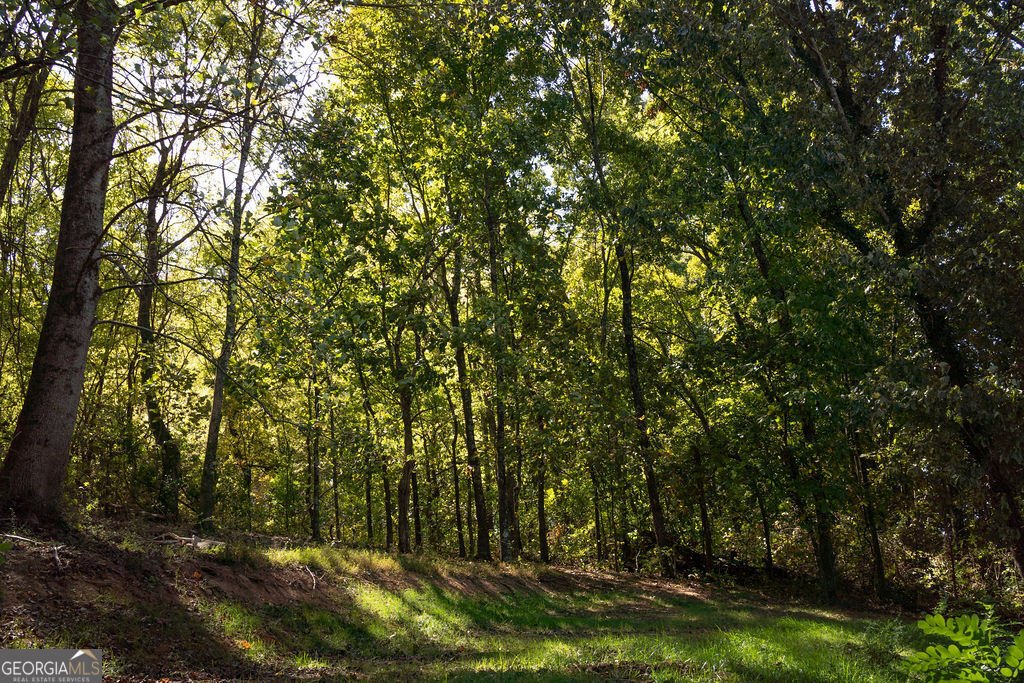 25 Mountain Trail Court Cartersville - 14
