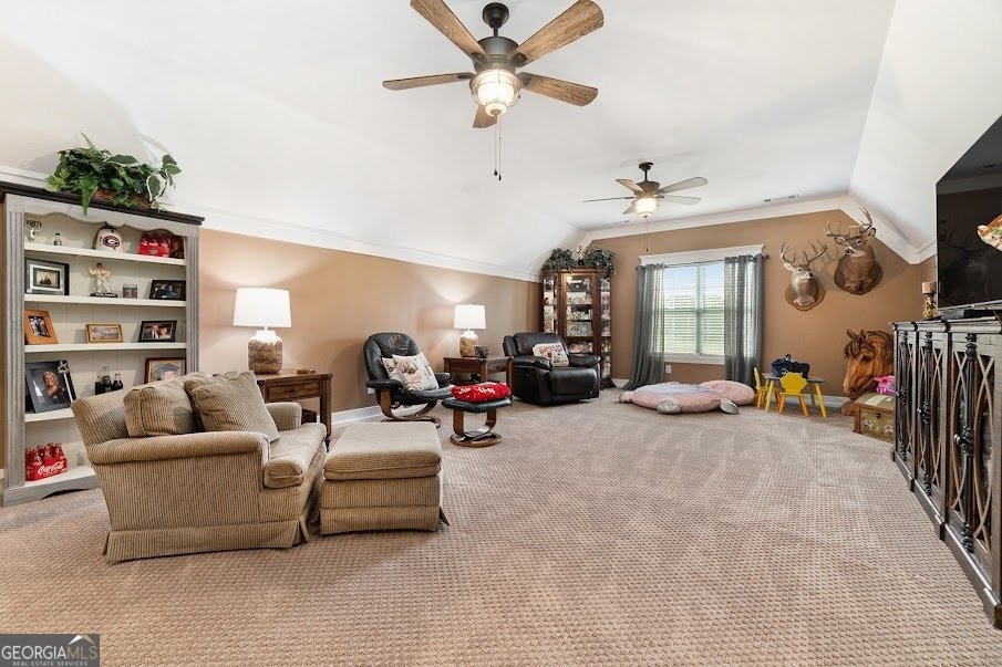 533 Buffalo Creek Road Carrollton - 34